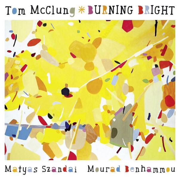 Acheter Tom McClung - Burning Bright État correct - 15,56 € Tom McClung - Burning Bright État correct - reconditionné disponible sur Label Emmaüs